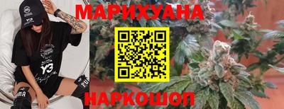 индика Нальчик